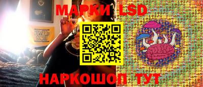 СК Донецк