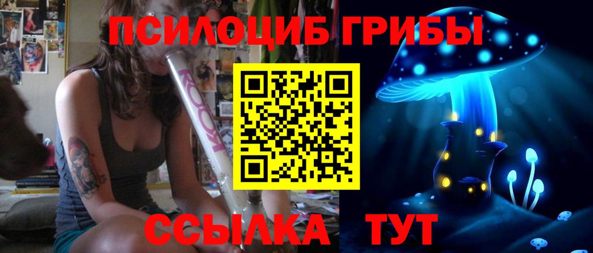 Псилоцибиновые грибы Cubensis Лесосибирск